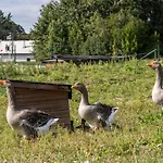 Relax Zone Vrchovina Дом отдыха