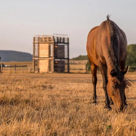 Holiday home Relax Zone Vrchovina